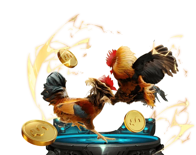 Hỗ trợ khách hàng và câu hỏi thường gặp về ok456 đăng nhập